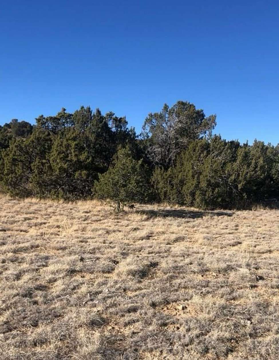 2 Acres of Residential Land for Lease in Walsenburg, Colorado