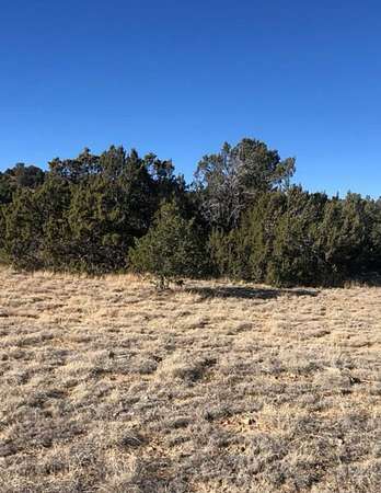 2 Acres of Residential Land for Lease in Walsenburg, Colorado