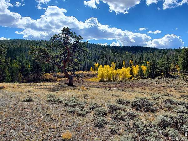 7.64 Acres of Land with Home for Sale in Red Feather Lakes, Colorado
