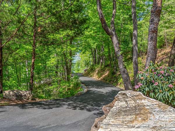 1 Acre of Residential Land for Sale in Lake Lure, North Carolina