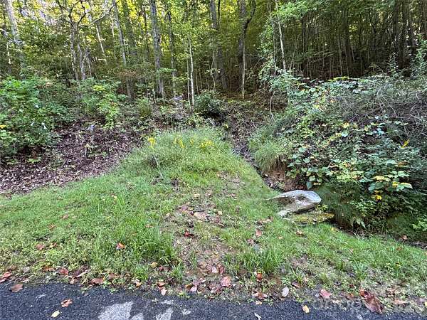 3 Acres of Residential Land for Sale in Fairview, North Carolina