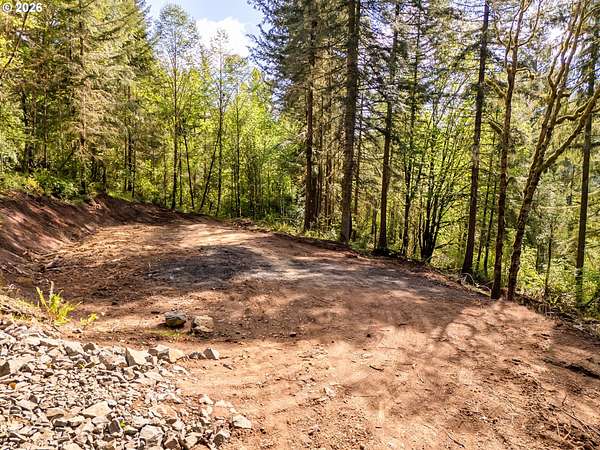 1.34 Acres of Residential Land for Sale in Kalama, Washington