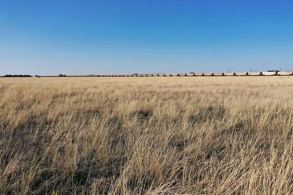 41.2 Acres of Land for Sale in Tulia, Texas
