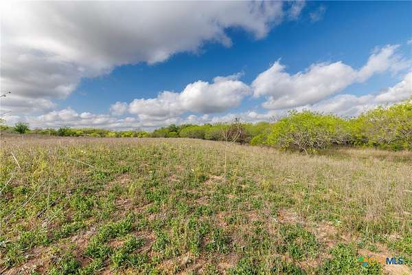 80.8 Acres of Recreational & Residential Land for Sale in Nixon, Texas