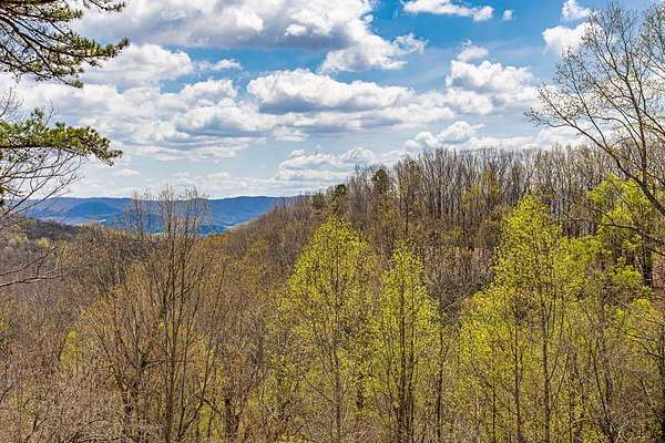 40 Acres of Recreational & Residential Land for Sale in Marion, Virginia