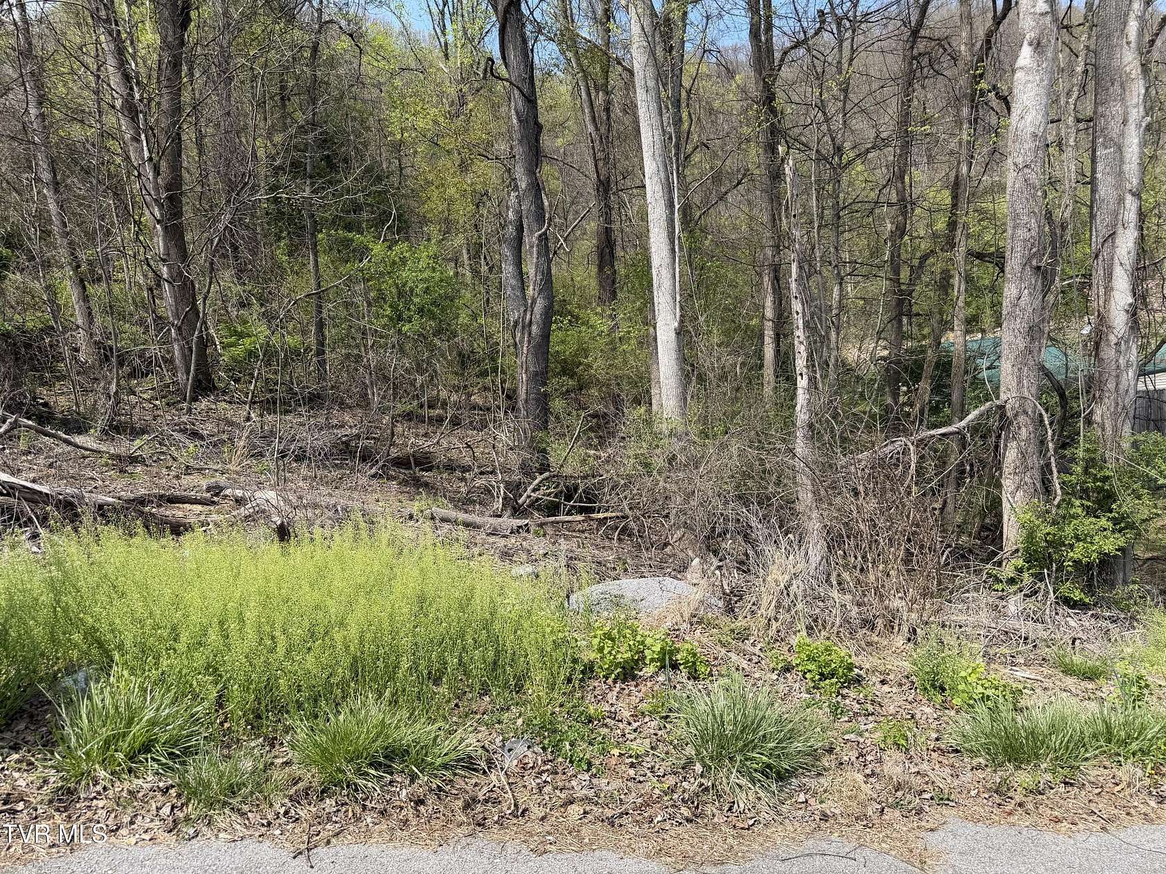 0.41 Acres of Residential Land for Sale in Bristol, Tennessee