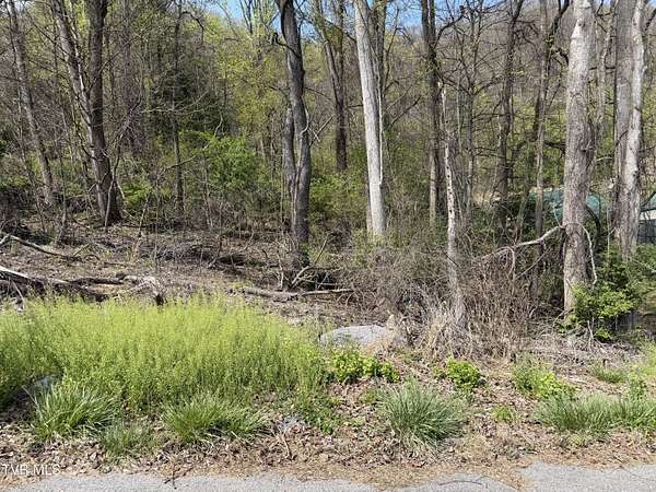 0.41 Acres of Residential Land for Sale in Bristol, Tennessee