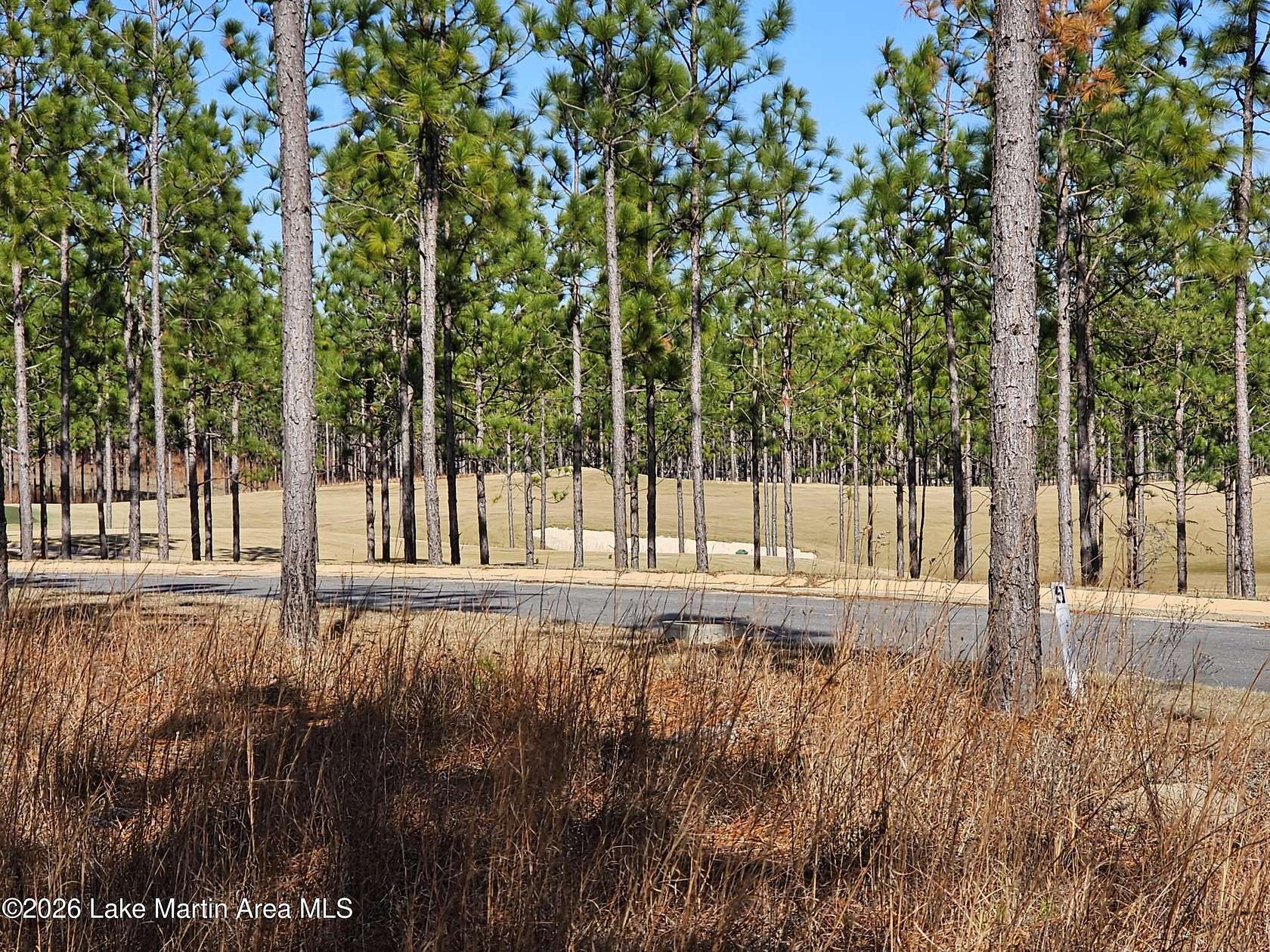 0.9 Acres of Residential Land for Sale in Alexander City, Alabama