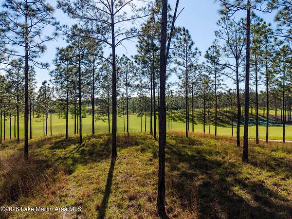 0.9 Acres of Residential Land for Sale in Alexander City, Alabama