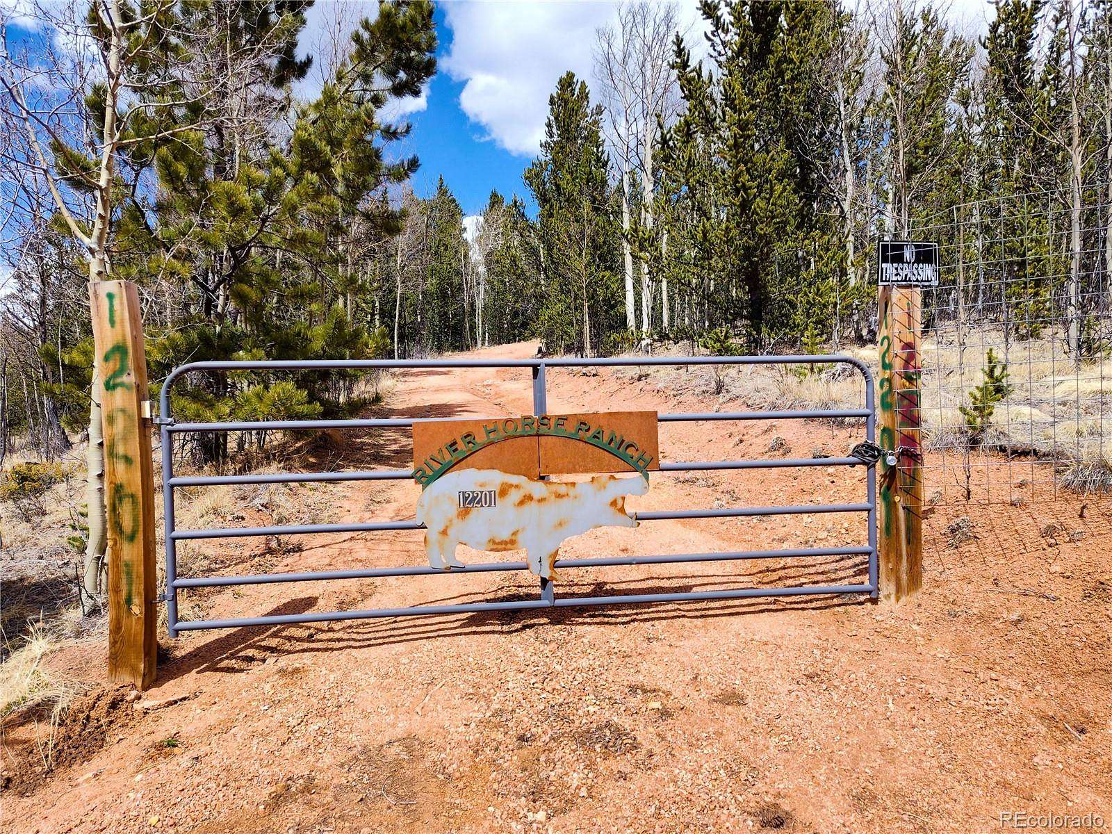 10.2 Acres of Land for Sale in Divide, Colorado