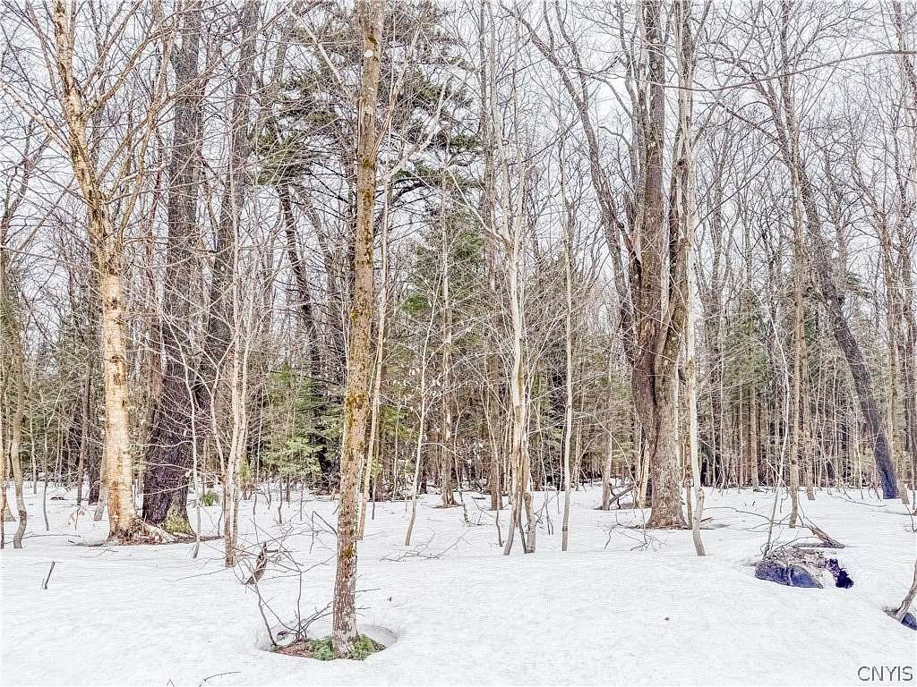 14.8 Acres of Recreational & Residential Land for Sale in Lowville, New York