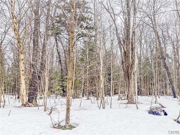 14.8 Acres of Recreational & Residential Land for Sale in Lowville, New York