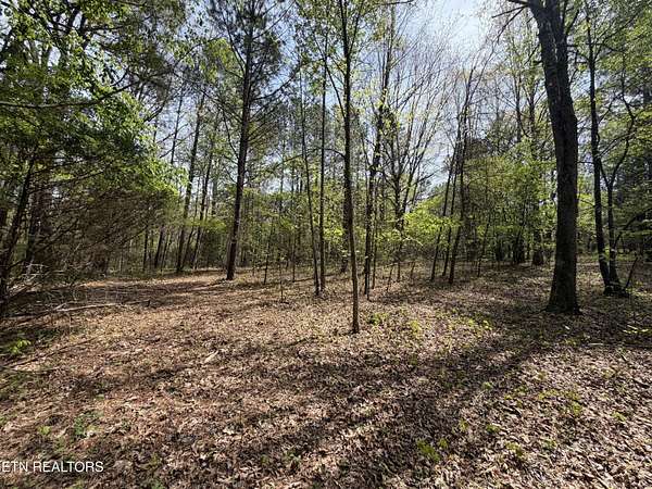 3 Acres of Residential Land for Sale in Loudon, Tennessee