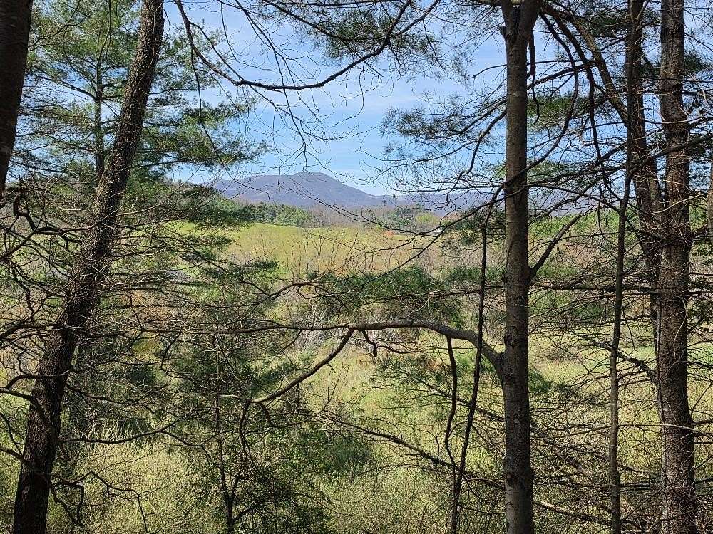 16.6 Acres of Recreational & Residential Land for Sale in Independence, Virginia