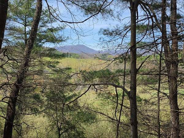 16.6 Acres of Recreational & Residential Land for Sale in Independence, Virginia