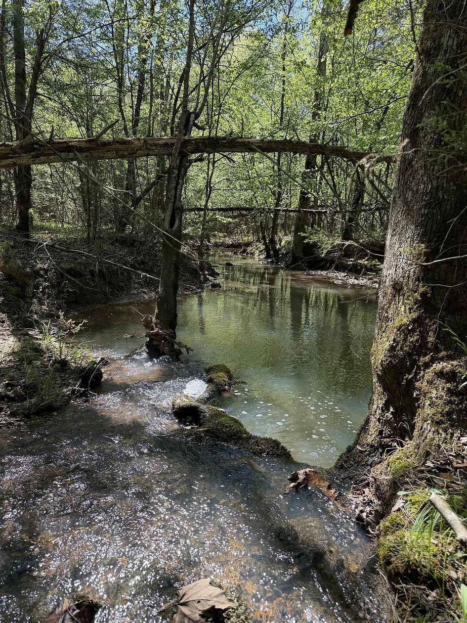 26.6 Acres of Recreational & Residential Land for Sale in De Queen, Arkansas