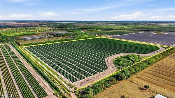 78 Acres of Agricultural & Residential Land for Sale in Immokalee, Florida
