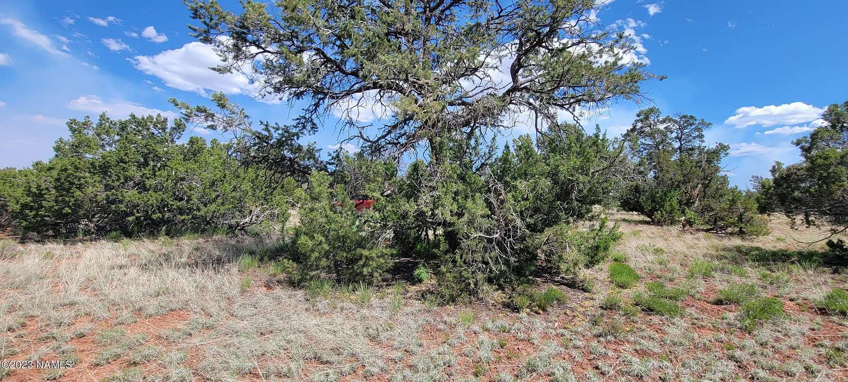1 Acre of Land for Sale in Williams, Arizona