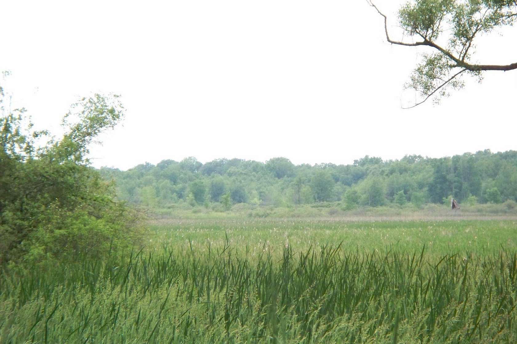 29 Acres of Land for Sale in Horton, Michigan