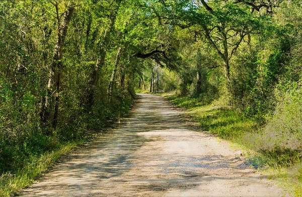 10.1 Acres of Land for Sale in Gonzales, Texas