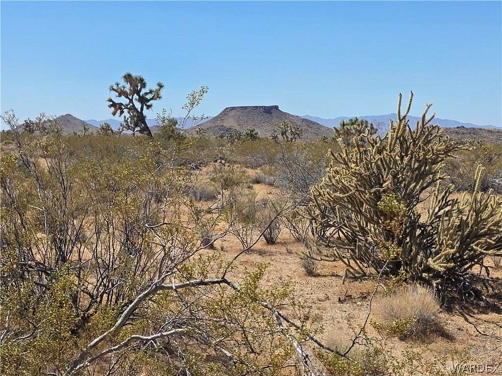 1.44 Acres of Residential Land for Sale in Yucca, Arizona