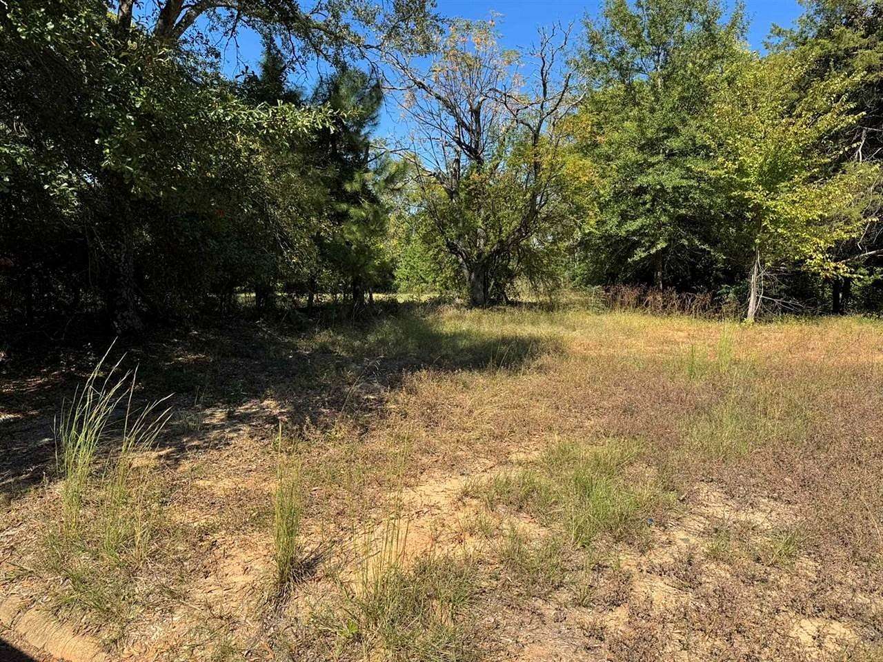 0.2 Acres of Land for Sale in Longview, Texas
