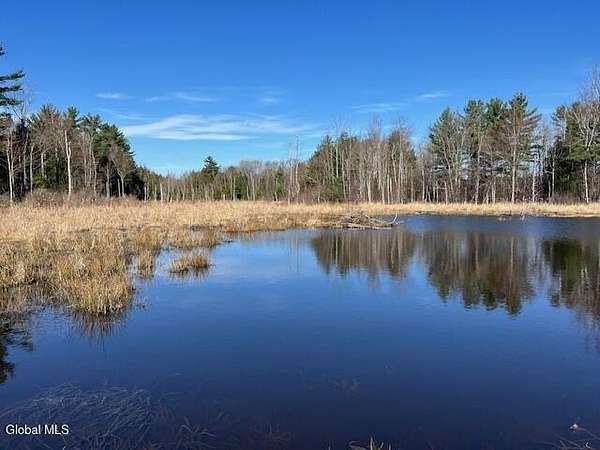 20 Acres of Recreational & Residential Land for Sale in Sloansville, New York