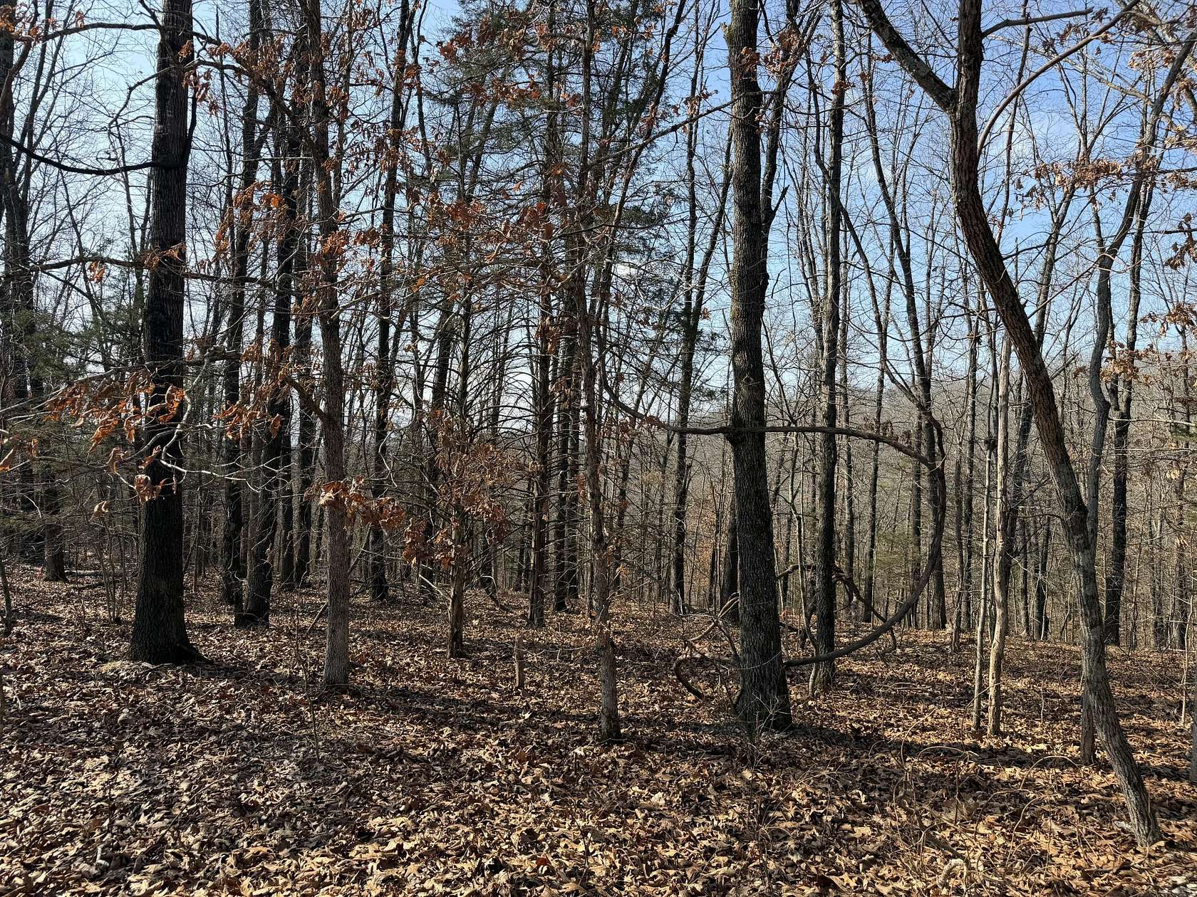 2 Acres of Residential Land for Sale in Cape Fair, Missouri