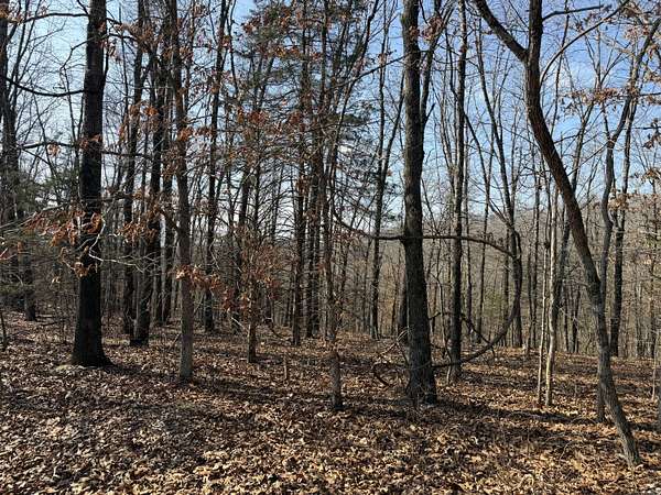 2 Acres of Residential Land for Sale in Cape Fair, Missouri