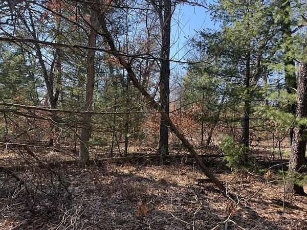 0.21 Acres of Land for Sale in Baldwin, Michigan