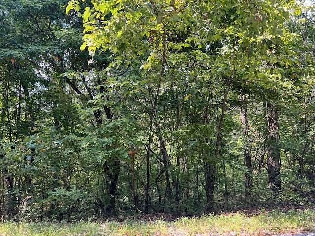 3 Acres of Residential Land for Sale in Holiday Island, Arkansas