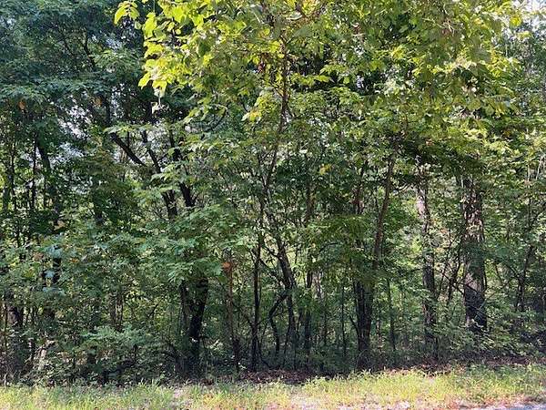 3 Acres of Residential Land for Sale in Holiday Island, Arkansas