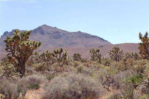 1 Acre of Residential Land for Sale in Dolan Springs, Arizona