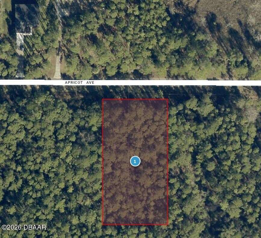 1 Acre of Residential Land for Sale in Eustis, Florida