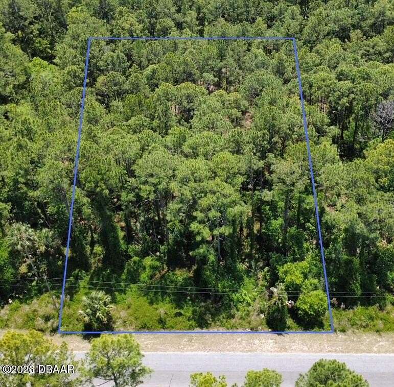 1 Acre of Residential Land for Sale in Eustis, Florida