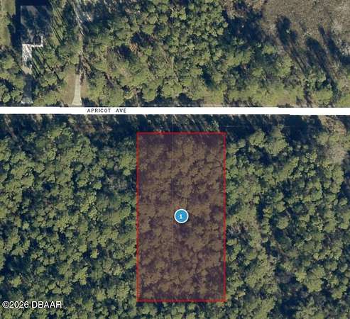 1 Acre of Residential Land for Sale in Eustis, Florida