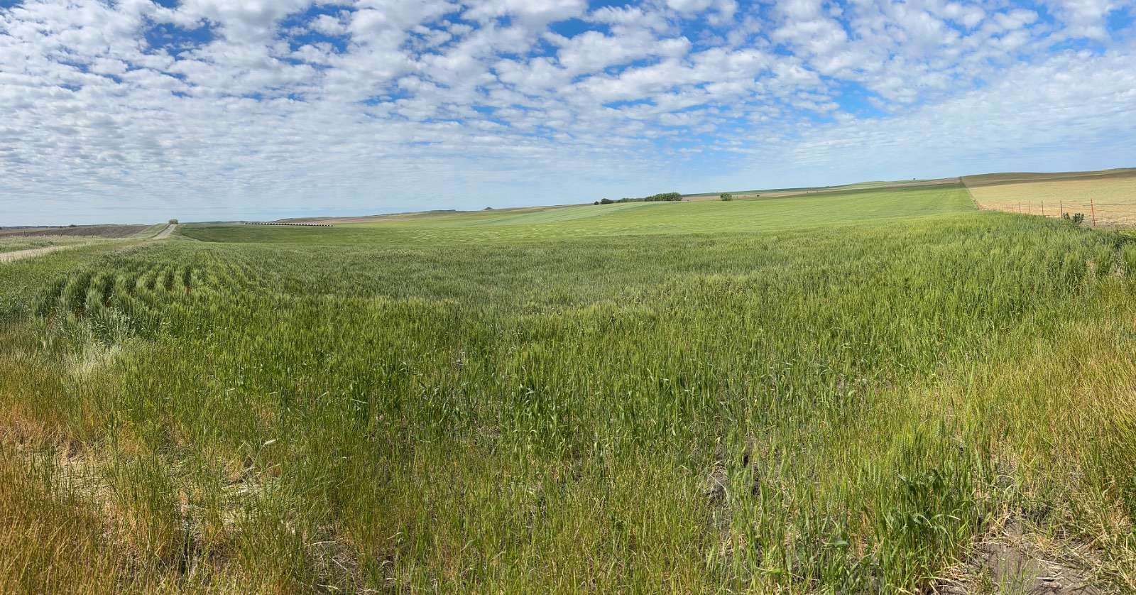 160 Acres of Land for Sale in Winner, South Dakota