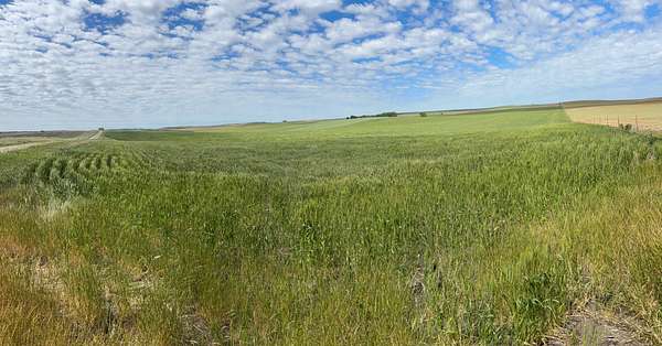 160 Acres of Land for Sale in Winner, South Dakota