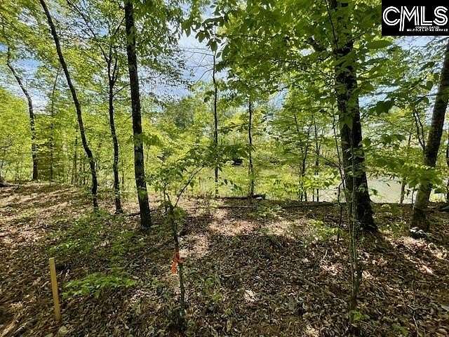 3 Acres of Residential Land for Sale in Silverstreet, South Carolina