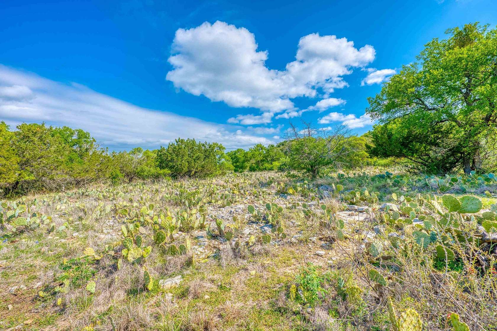 0.56 Acres of Residential Land for Sale in Horseshoe Bay, Texas