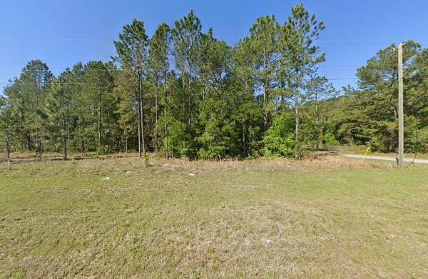 0.24 Acres of Residential Land for Sale in Ocklawaha, Florida