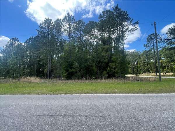 0.24 Acres of Residential Land for Sale in Ocklawaha, Florida
