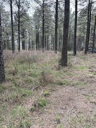5 Acres of Land for Sale in Murfreesboro, Arkansas