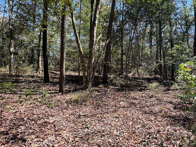 1.77 Acres of Land for Sale in Bonifay, Florida