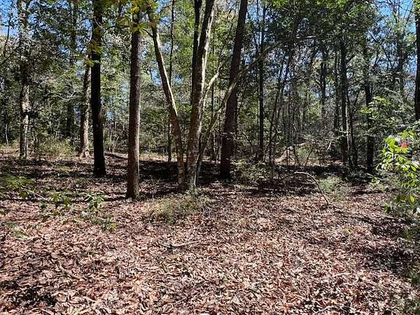 1.77 Acres of Land for Sale in Bonifay, Florida