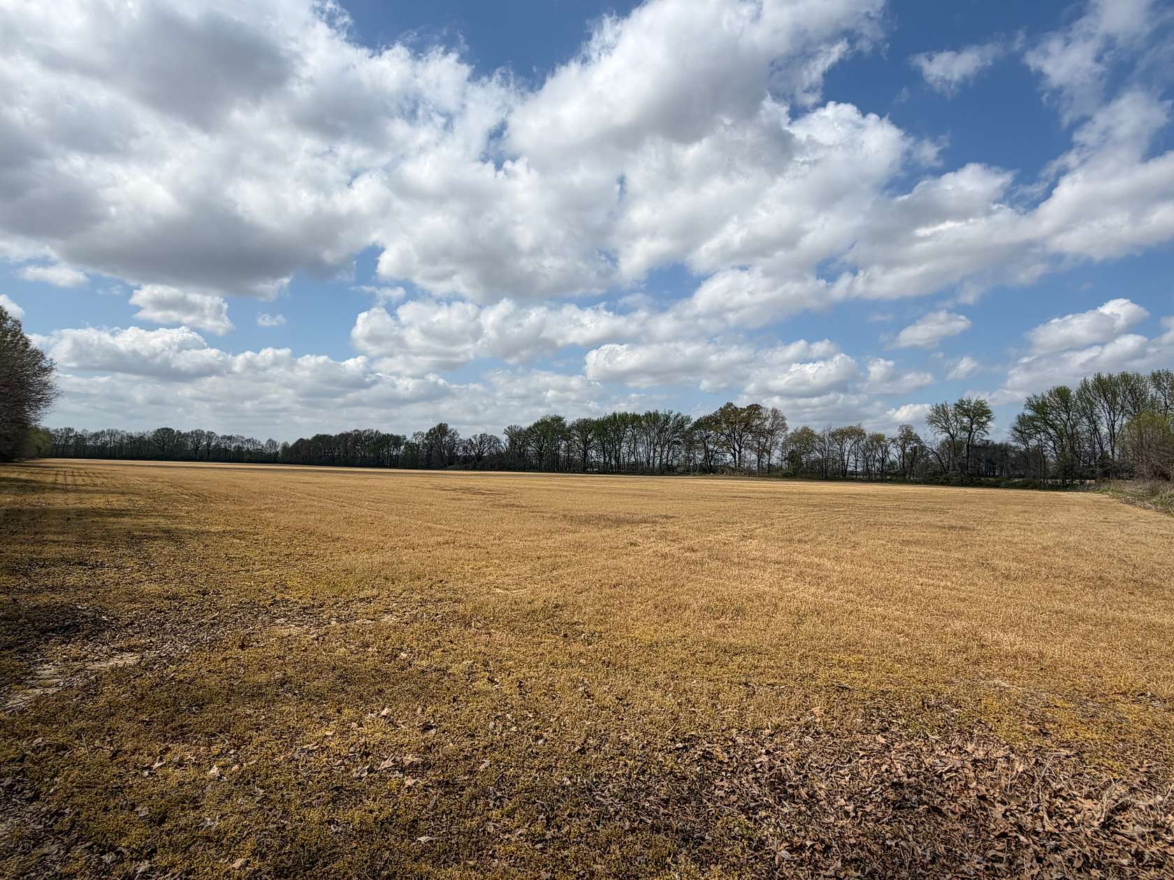 59 Acres of Agricultural Land for Auction in Bells, Tennessee