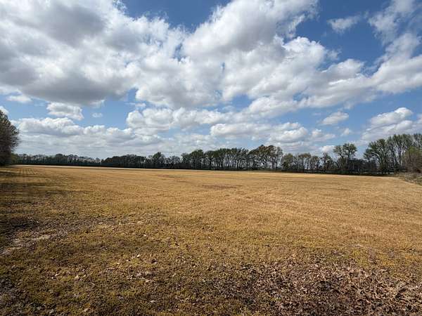 59 Acres of Agricultural Land for Auction in Bells, Tennessee