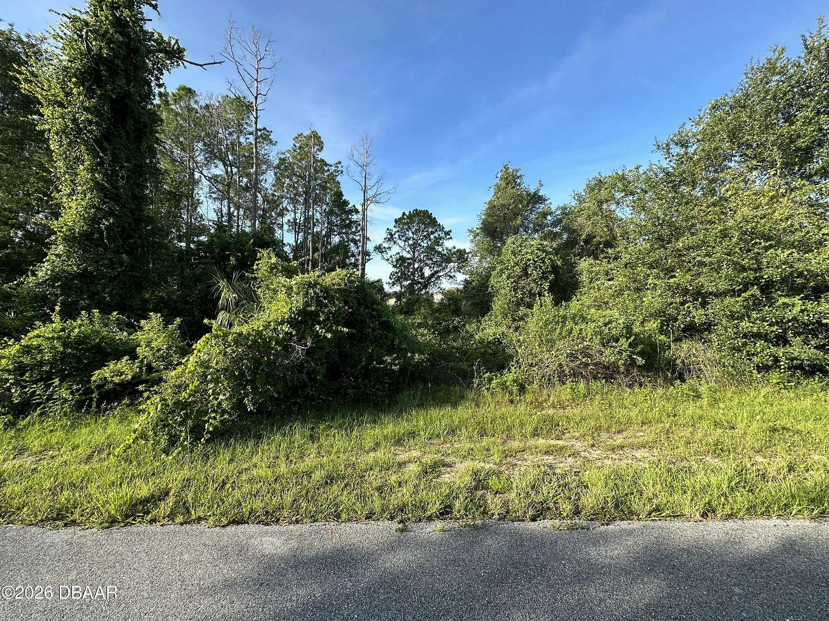 0.19 Acres of Residential Land for Sale in Poinciana, Florida