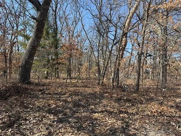 0.42 Acres of Land for Sale in Baldwin, Michigan