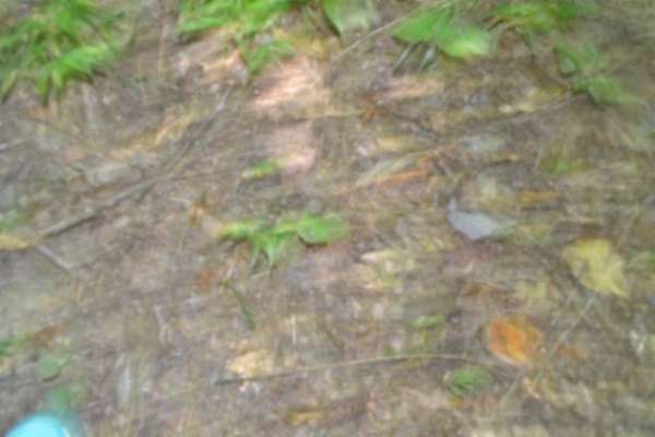 7 Acres of Residential Land for Sale in Clarkrange, Tennessee